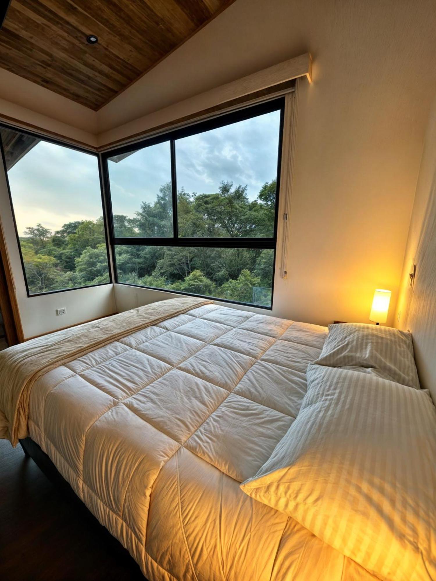 Moon Forest Apartments Monteverde Eksteriør billede