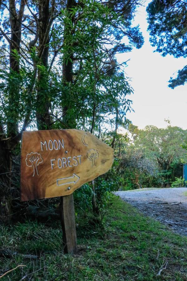 Moon Forest Apartments Monteverde Eksteriør billede