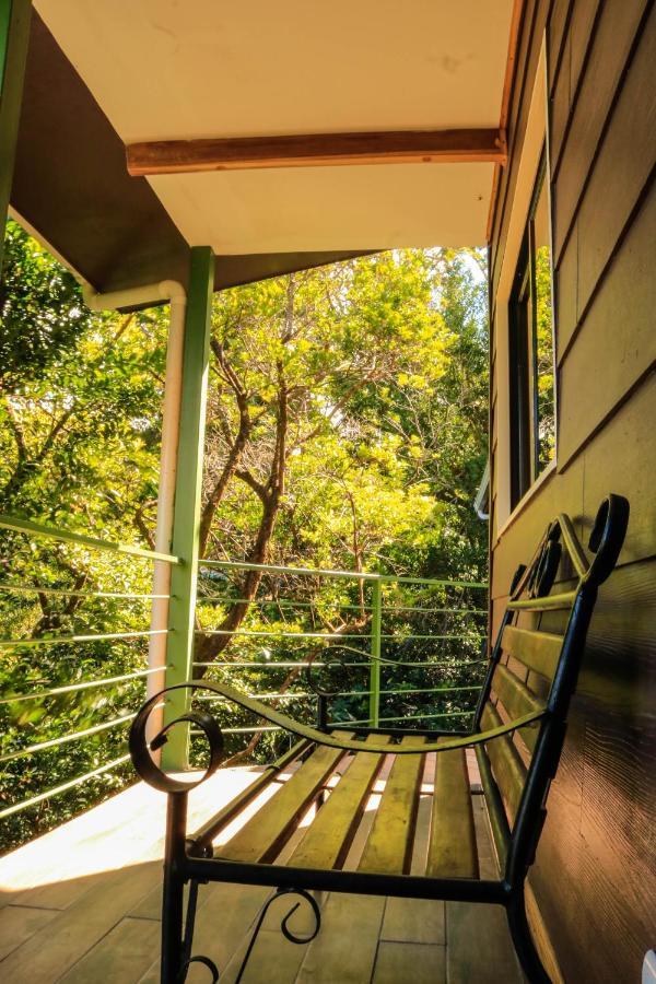 Moon Forest Apartments Monteverde Eksteriør billede